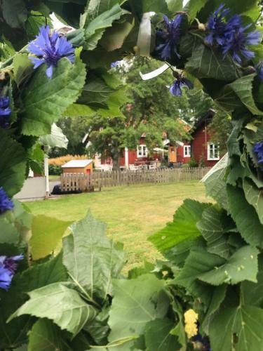 Hostal Visings� Pensionat