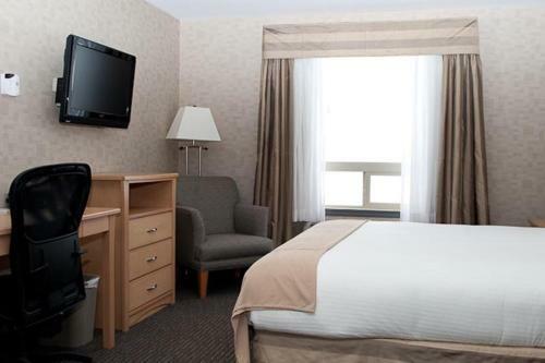 Hotel Paradise Inn And Suites