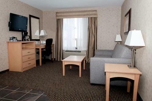 Hotel Paradise Inn And Suites