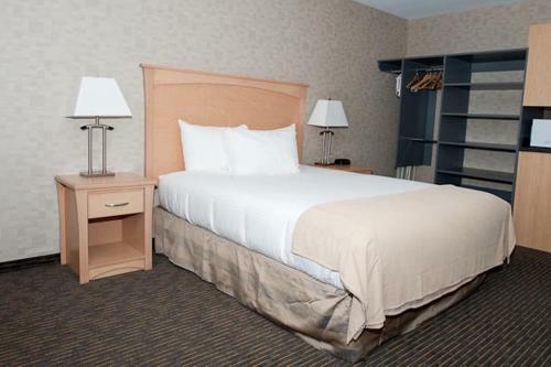 Hotel Paradise Inn And Suites
