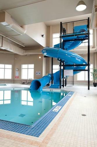 Hotel Paradise Inn And Suites