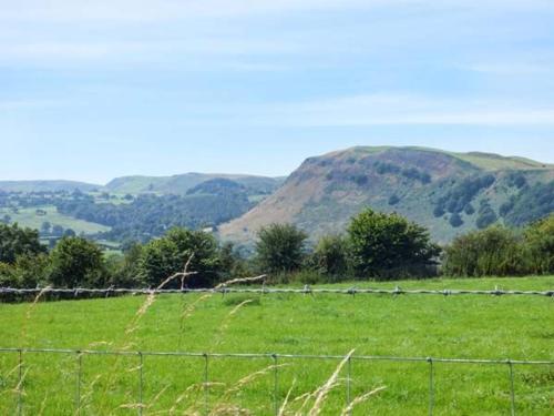 Ty Newydd, Welshpool
