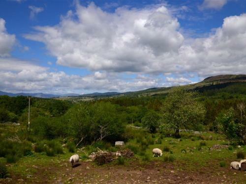 Holiday Home Ganllwyd