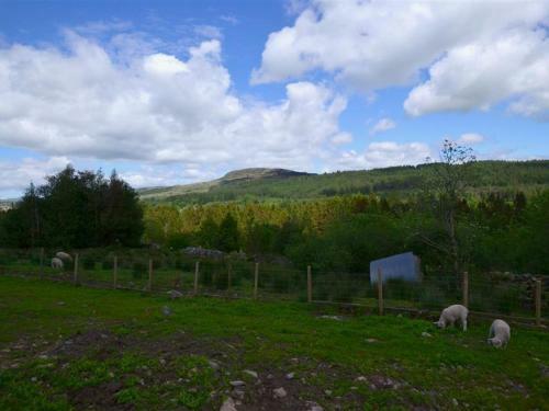 Holiday Home Ganllwyd