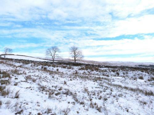 Ploughshare