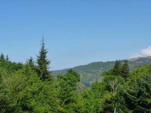 Inver Coille Campsite