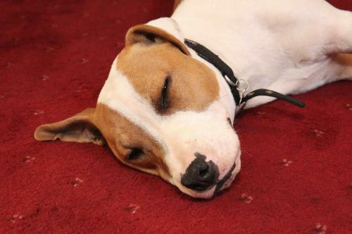 Tinkers Furze Bed And Breakfast