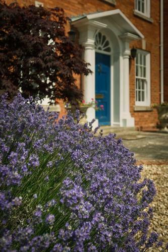 Bed & Breakfast Alne Park