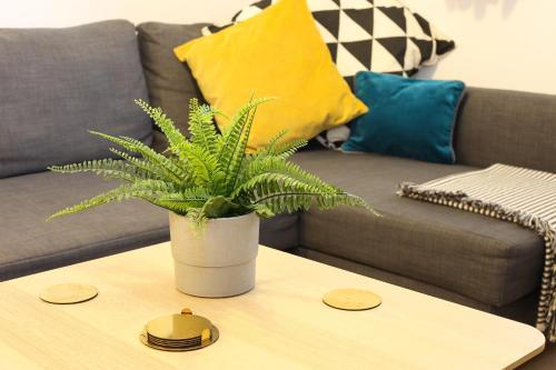 Next Level Apartments At Rectory Court