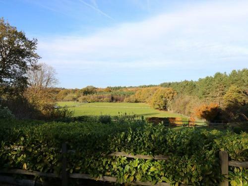 Long Meadow