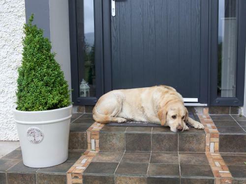 Agroturismo Abocurragh Farmhouse Bed And Breakfast