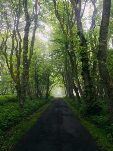 Hostal Forse Of Nature