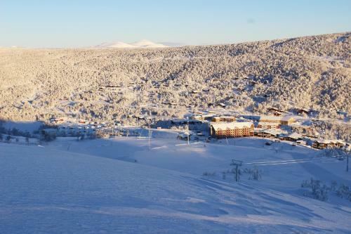 Apartamento Ski Lodge T�nndalen