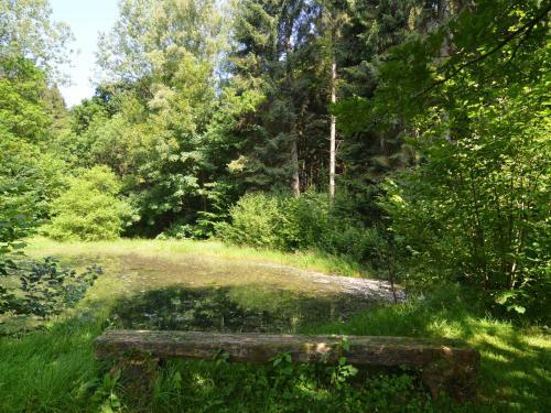 Holiday Home Le Martin Pecheur Bouillonnoirefontaine