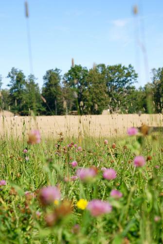 Bed & Breakfast Krokstorps G�rd