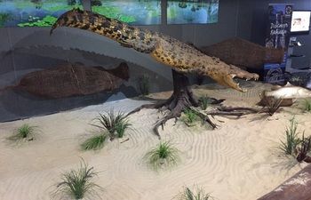 Hotel Mercure Kakadu Crocodile