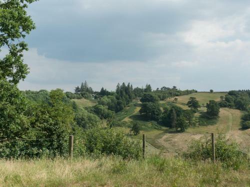 Upper Caerfaelog