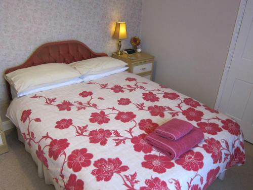 Bed & Breakfast Black Swan Guest House