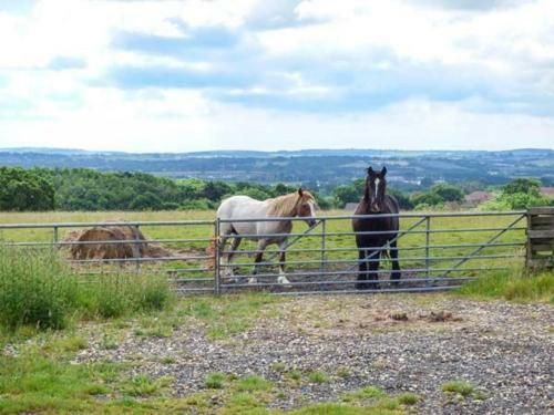 Somerton Farm