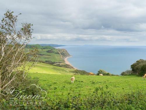 Fishermen's Steps , West Bay