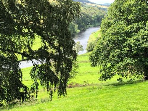 Hostal Netherdale House