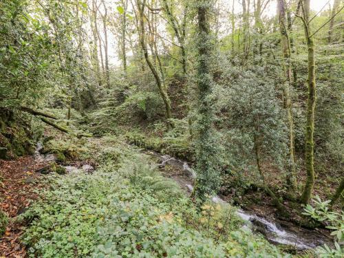 Plyg-y-rhiw