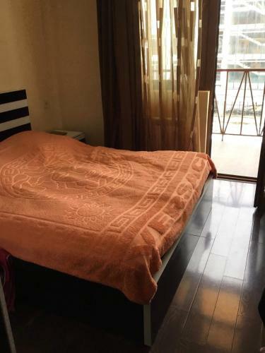 Snow Plaza Apartments 46