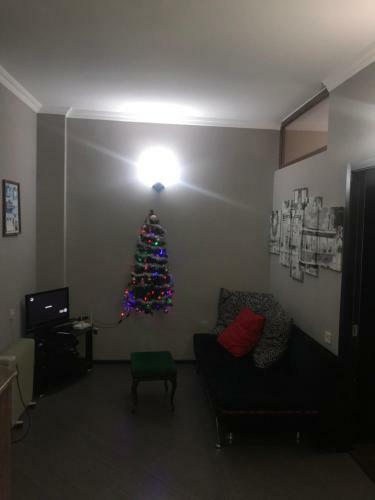 Snow Plaza Apartments 46