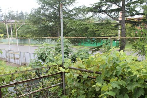 Green Homestay