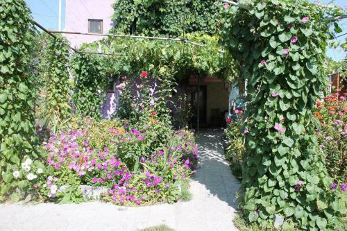 Bed & Breakfast Guest House Tsiskari