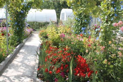 Bed & Breakfast Guest House Tsiskari