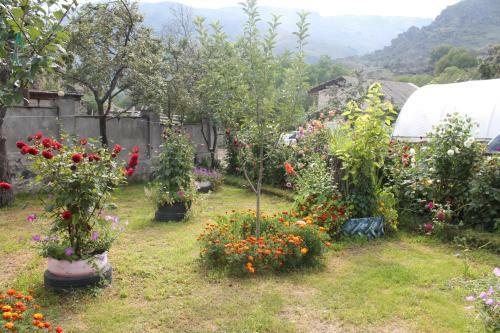 Bed & Breakfast Guest House Tsiskari