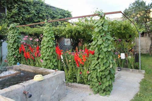 Bed & Breakfast Guest House Tsiskari