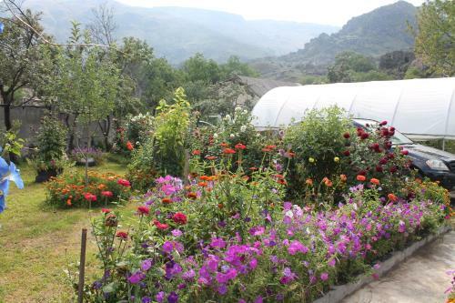 Bed & Breakfast Guest House Tsiskari