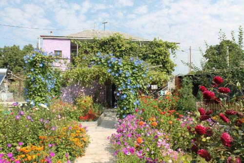 Bed & Breakfast Guest House Tsiskari