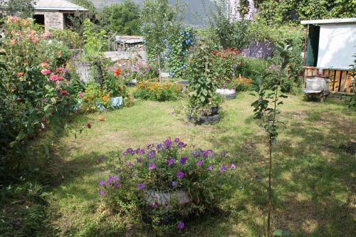 Bed & Breakfast Guest House Tsiskari