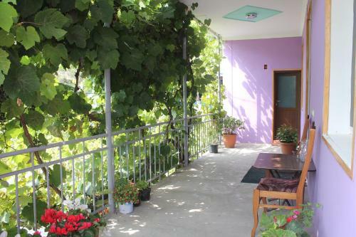 Bed & Breakfast Guest House Tsiskari