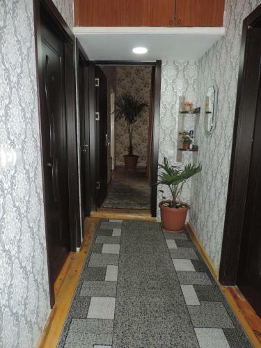 Hostal Host Family