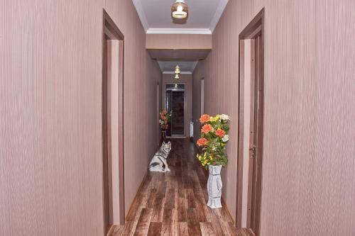 Bed & Breakfast Light House Old City