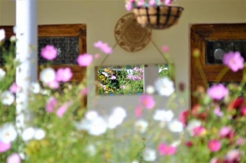 Hostal Guest House Mebo
