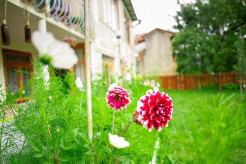 Hostal Guest House Mebo