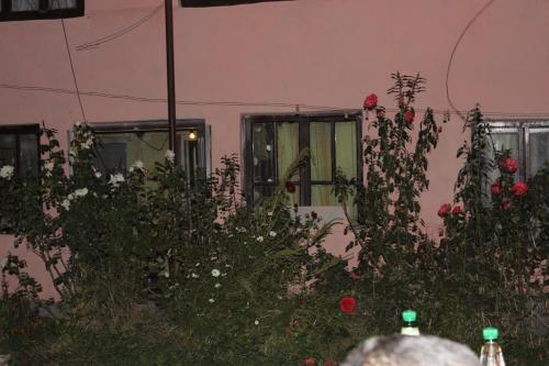 Hostal Alaverdi Guest House