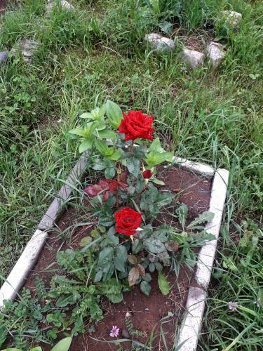 Apartamento Guesthouse Zaqara