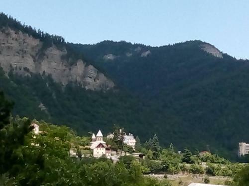 Apartamento Guest House Borjomi