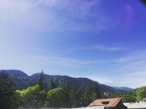 Borjomi Apartotel