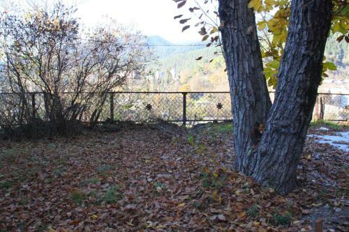 Hostal Old Borjomi House