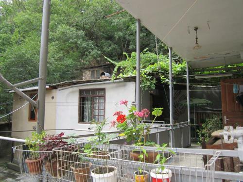 Hostal Guest House Borjomi