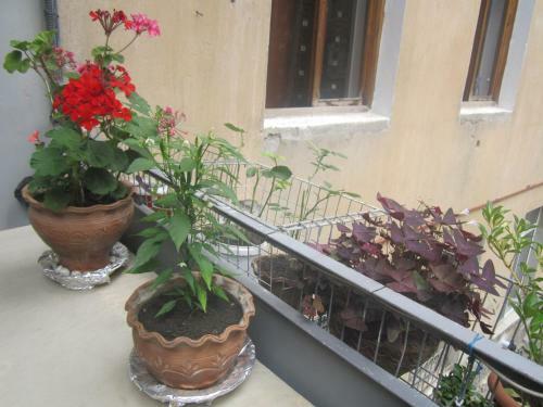 Hostal Guest House Borjomi