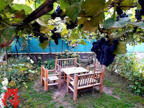 Hostal Guest House Metreveli