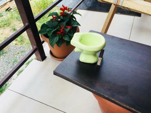 Hostal Guest House Orange Pumpkin